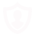 Security Icon x310